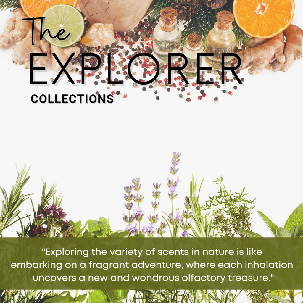 The Explorer Collections